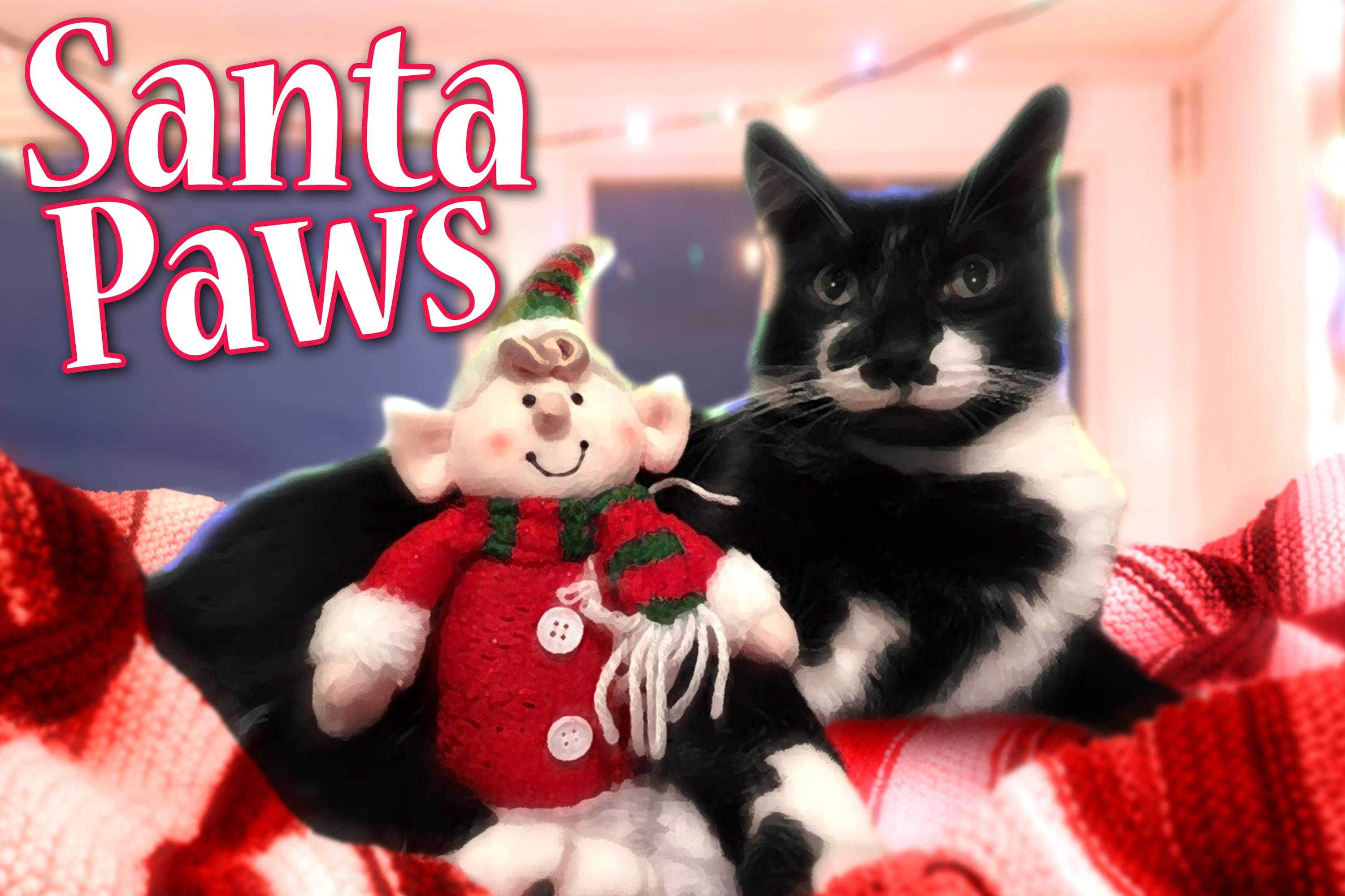 Pick your Santa Paws winner as we reveal this year's top 10 animals